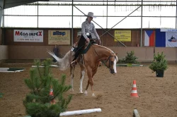 Připouštění hřebcem Classic Western Art